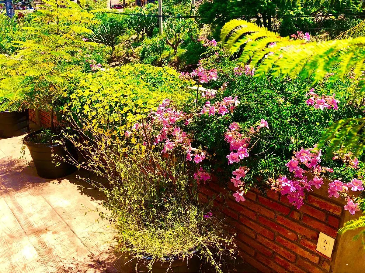 아파트 Villa Vista Eco Suites 케레타로